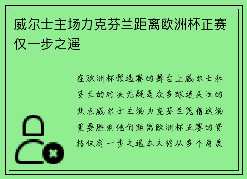 威尔士主场力克芬兰距离欧洲杯正赛仅一步之遥